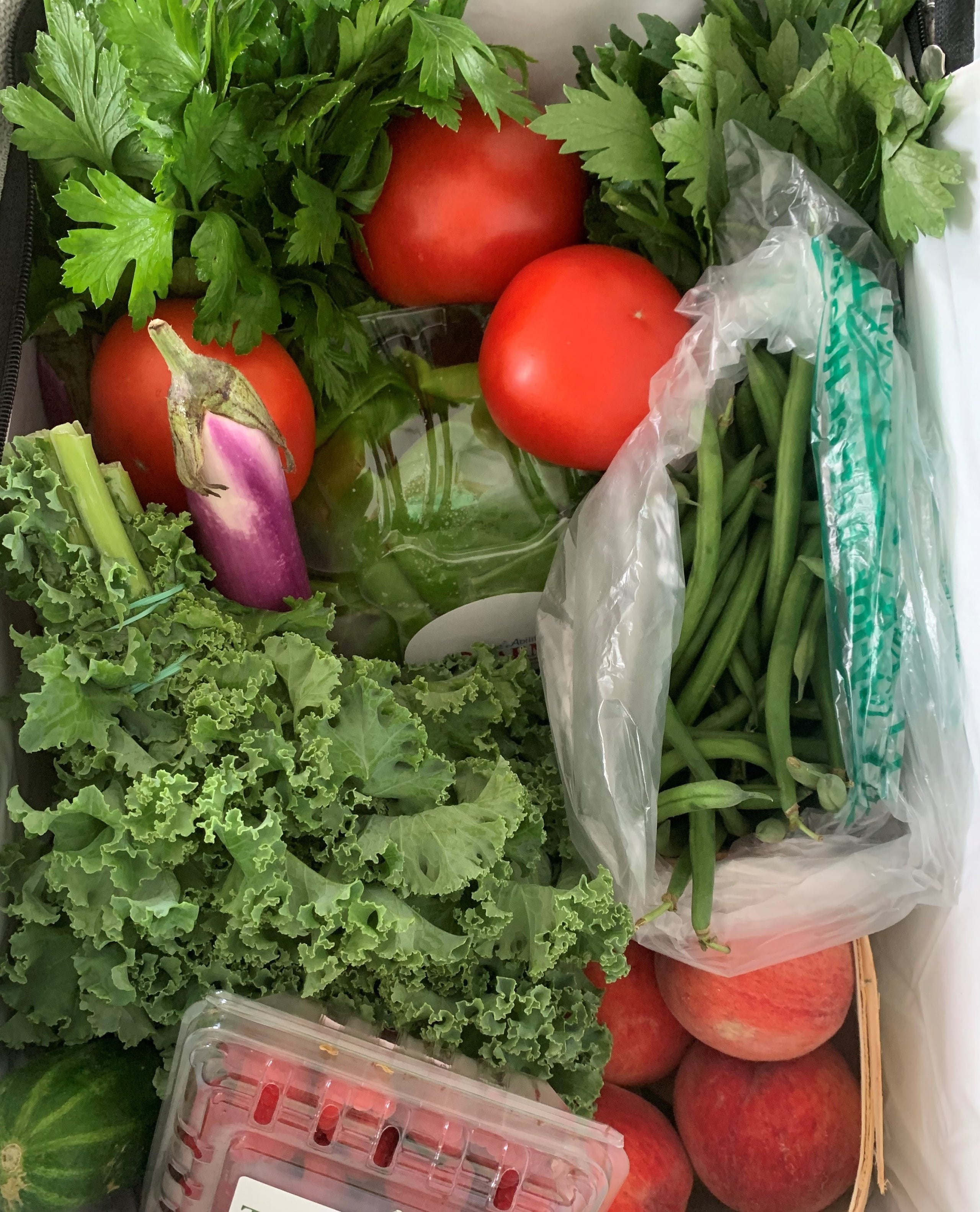 2023 SUMMER FARM MARKET BOX CAPE ABILITIES FARM (May 29 September 25) Cape Abilities Farm 2023 SUMMER FARM MARKET BOX CAPE ABILITIES FARM (May 29 September 25) Cape Abilities Farm
